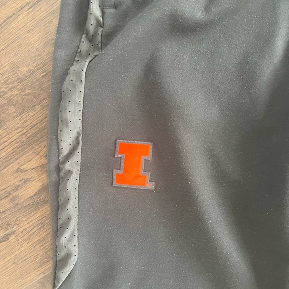 NIKE University of Illinois Fighting Illini Jogger Pants Grey Performance XLarge - Picture 2 of 8